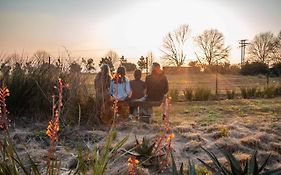 The Aloes Farm - The Studio & The Gallery